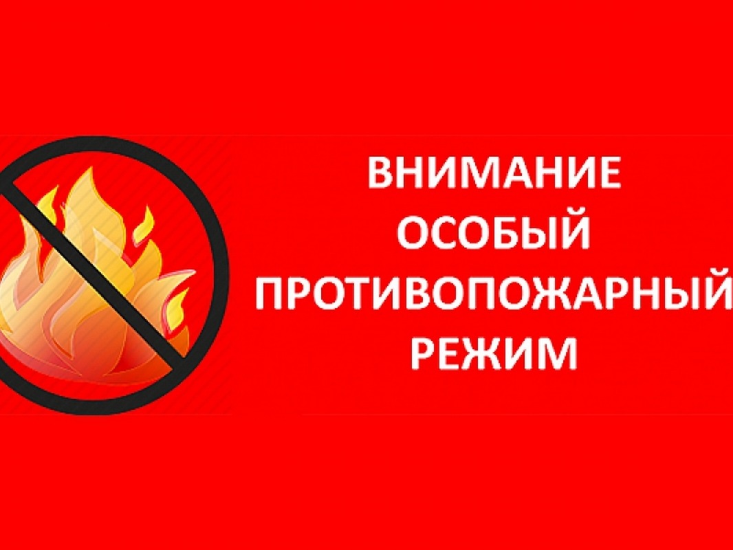Постановлением Администрации томской области от 29.04.2026 №158а с 30 апреля 2026 года на территории Томской области установлен особый противопожарный режим..