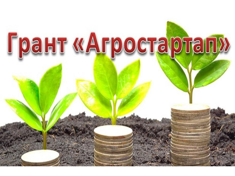 Стартовал конкурсный отбор на грант «Агростартап».