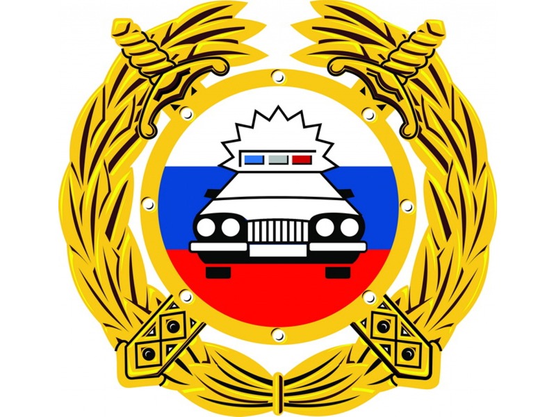 Сотрудники Госавтоинспекции Молчановского района организовали для воспитанников ОГКУ « Центр социальной помощи семье и детям Молчановского района» акцию «Я люблю автокресло!»..
