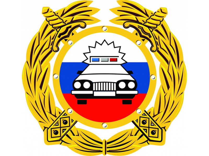 В Томской области полицейские провели акцию «Ромашка безопасности!».