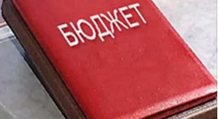 Собственные доходы бюджета составили 52.8 млн. рублей.