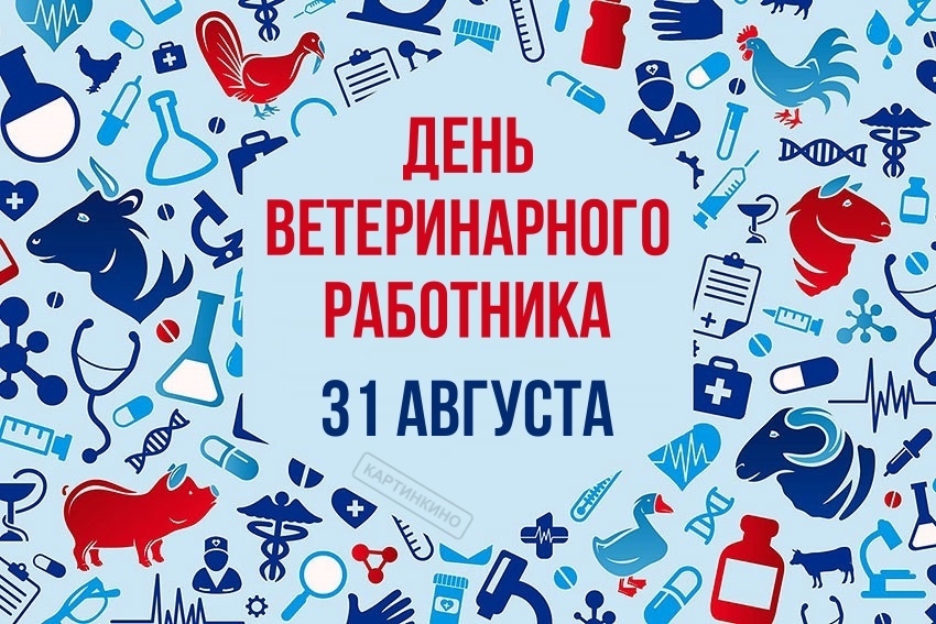 31 августа 2025 года – День ветеринарного работника.