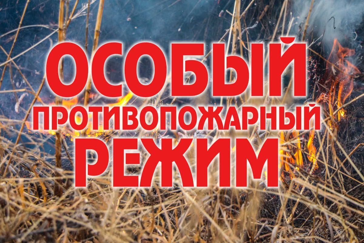 С 14 апреля 2025 года установлен особый противопожарный режим на территории Томской области.