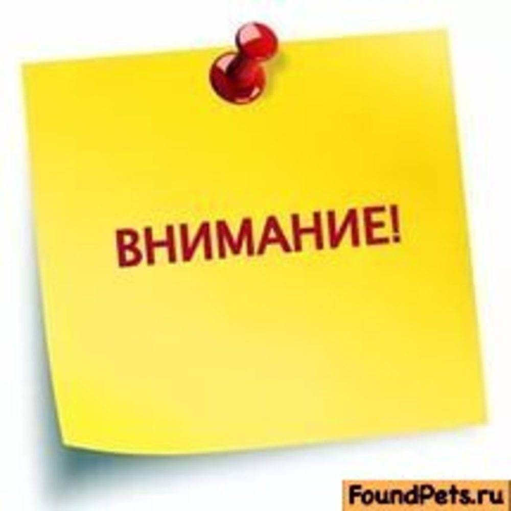 Объявлен конкурс предпринимательских проектов &quot;Новая волна&quot;.