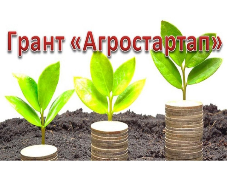 Стартовал конкурсный отбор на грант «Агростартап». Стартовал конкурсный отбор на грант «Агростартап».