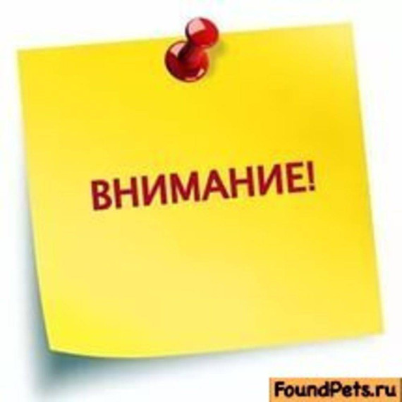 Объявлен конкурс предпринимательских проектов "Новая волна". Объявлен конкурс предпринимательских проектов "Новая волна".