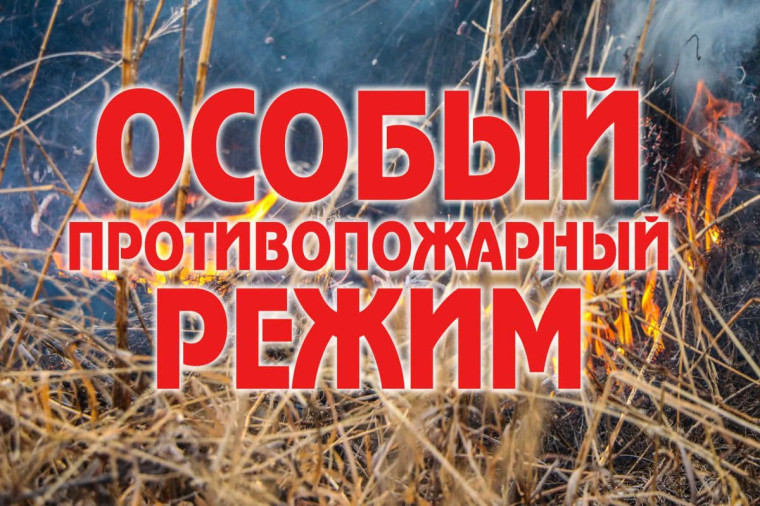 С 14 апреля 2025 года установлен особый противопожарный режим на территории Томской области. С 14 апреля 2025 года установлен особый противопожарный режим на территории Томской области.