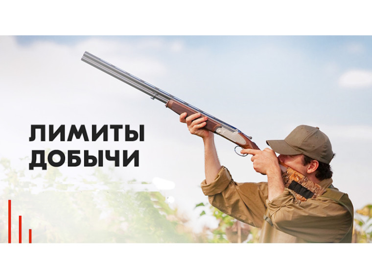 Утверждение лимита добычи охотничьих ресурсов на период с 1 августа 2024 года до 1 августа 2025 года на территории Томской области. Утверждение лимита добычи охотничьих ресурсов на период с 1 августа 2024 года до 1 августа 2025 года на территории Томской области.